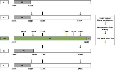 Left Ventricular Ejection Time Measured by Echocardiography Differentiates Neurobehavioral Resilience and Vulnerability to Sleep Loss and Stress